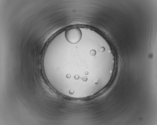 X0000113101113200908280945
