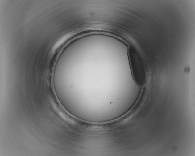 X0000113101114200908280945