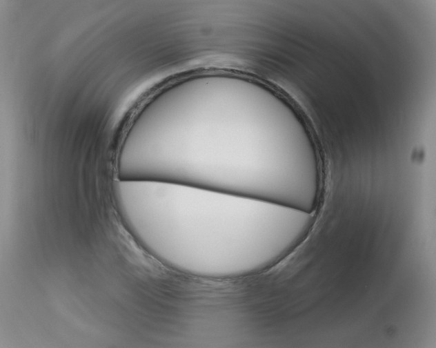 X0000113101115200908280945