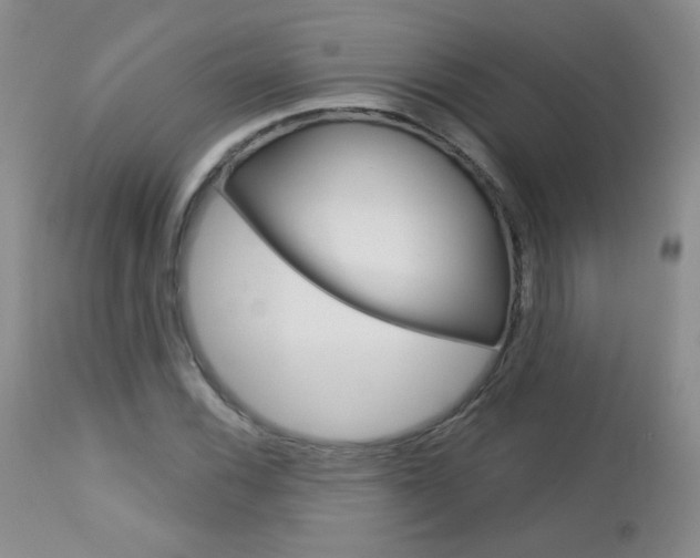 X0000113101116200908280945