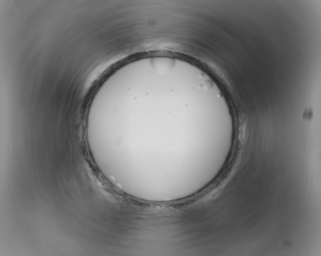 X0000113101117200908280945