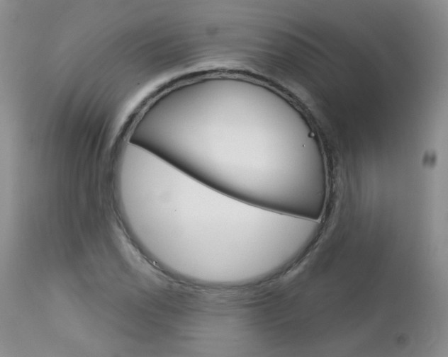 X0000113101118200908280945