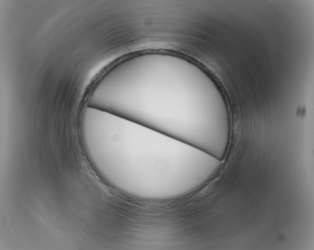 X0000113101119200908280945