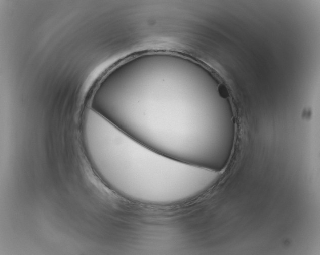 X0000113101120200908280945