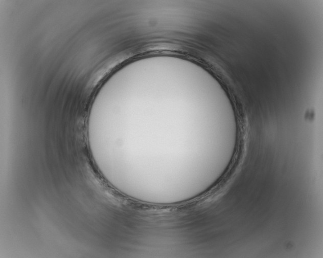 X0000113101121200908280945