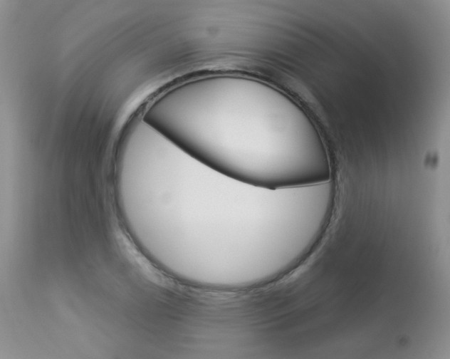 X0000113101122200908280945