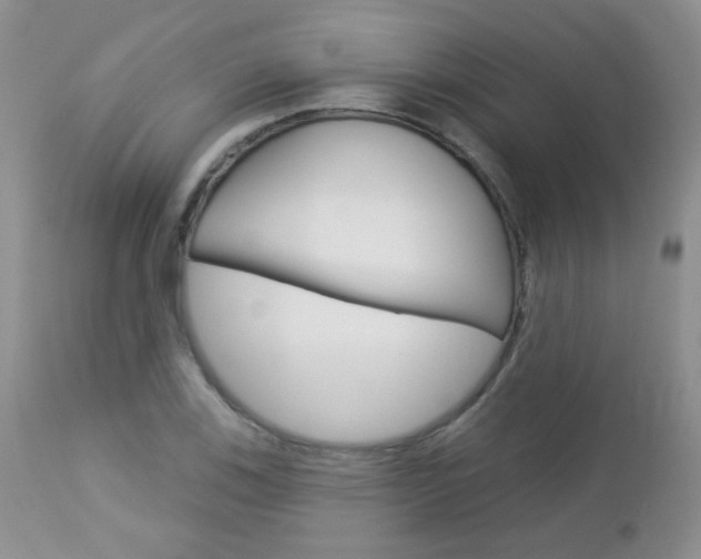 X0000113101123200908280945