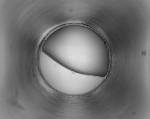 X0000113101124200908280945