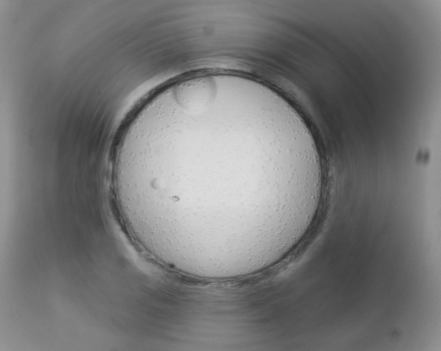 X0000113101125200908280945