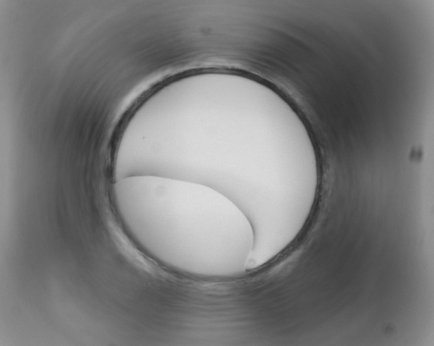 X0000113101126200908280945