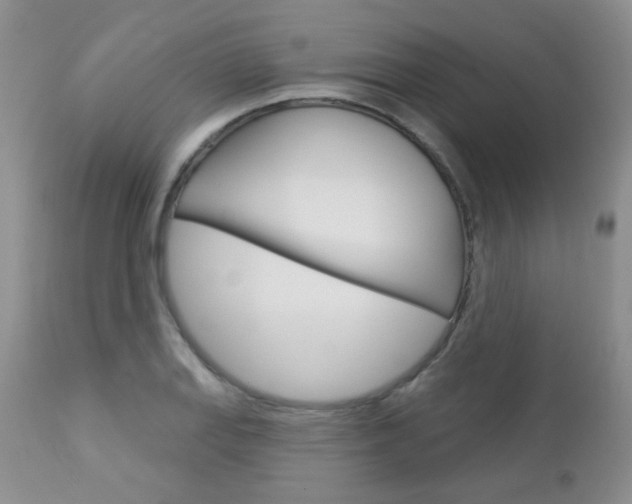 X0000113101127200908280945