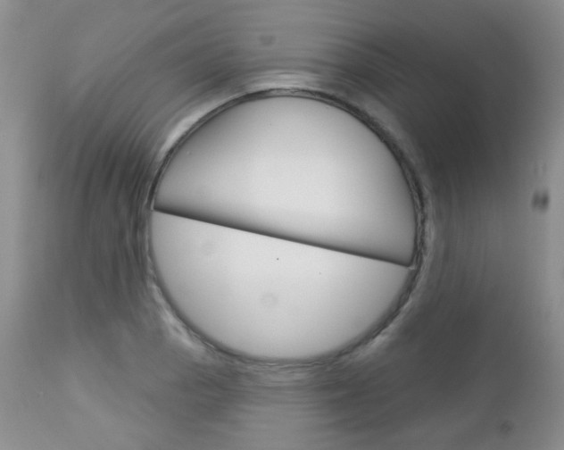 X0000113101129200908280945
