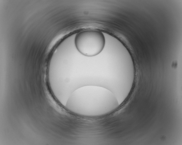 X0000113101130200908280945