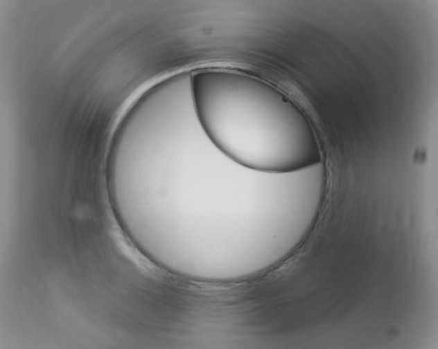 X0000113101132200908280945