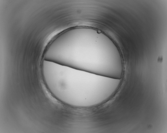 X0000113101133200908280945