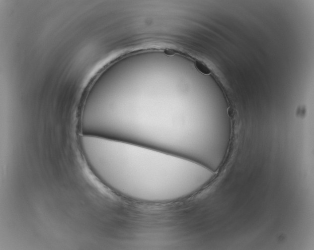 X0000113101134200908280945