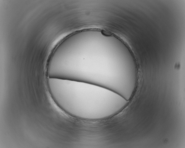 X0000113101135200908280945