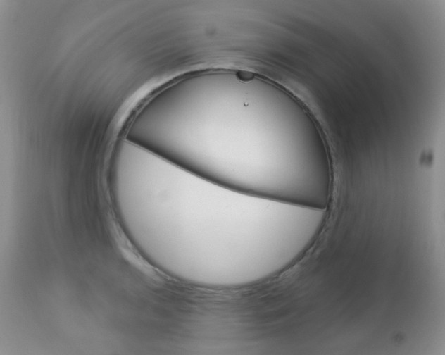 X0000113101136200908280945
