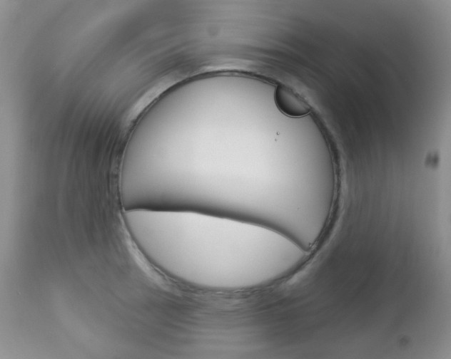 X0000113101137200908280946