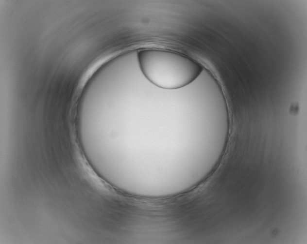X0000113101138200908280946