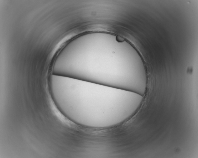 X0000113101139200908280946