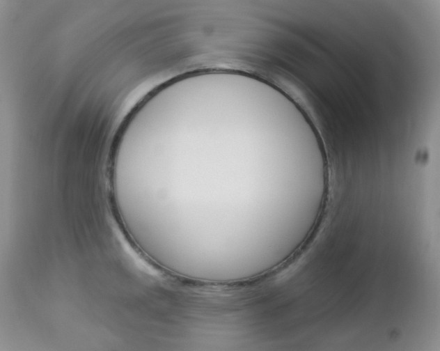 X0000113101141200908280946