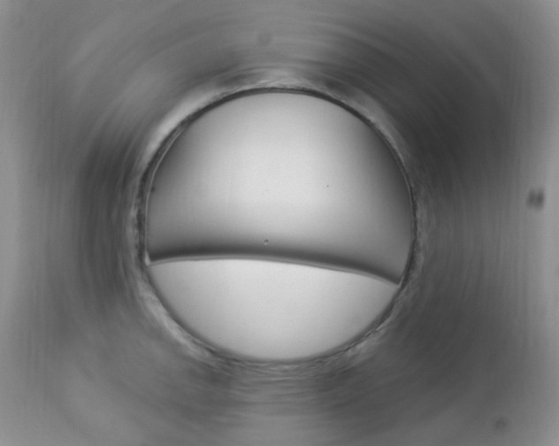 X0000113101142200908280946