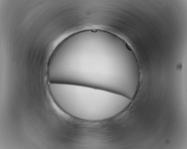 X0000113101143200908280946