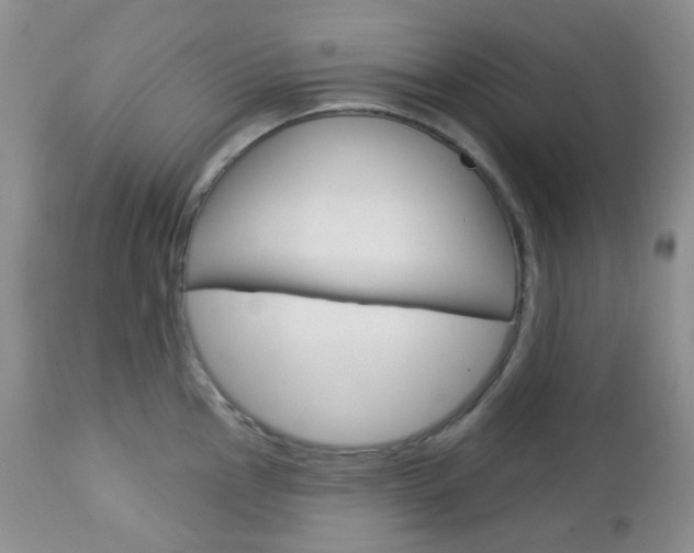 X0000113101145200908280946