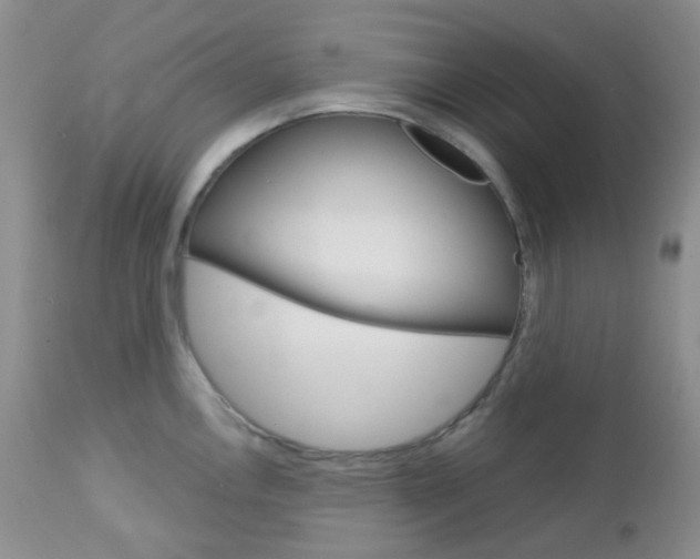 X0000113101146200908280946