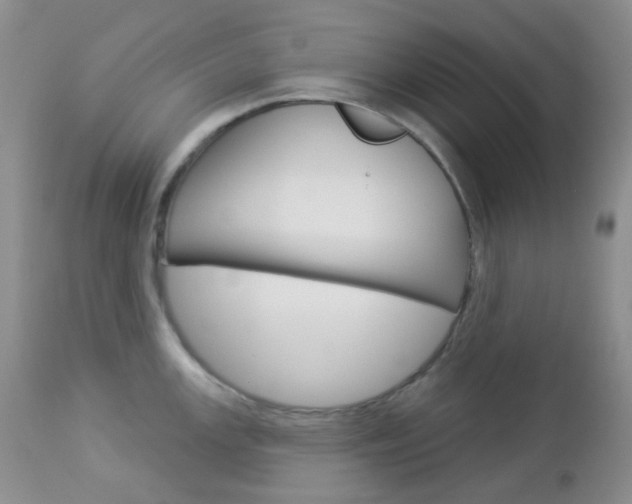 X0000113101147200908280946