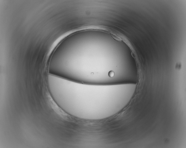 X0000113101148200908280946