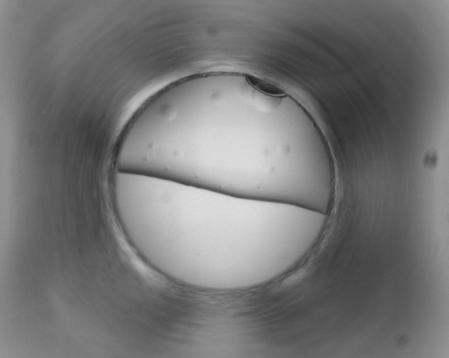 X0000113101149200908280946