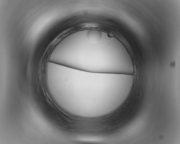 X0000113101151200908280946