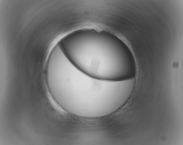 X0000113101152200908280946