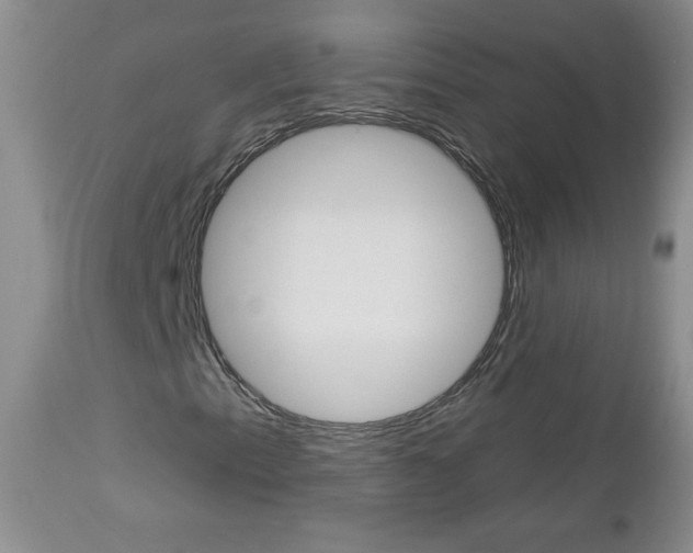 X0000113101153200908280945