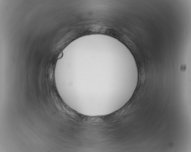 X0000113101154200908280945