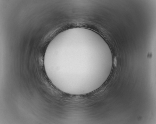 X0000113101155200908280945