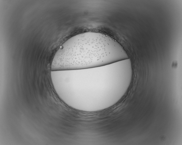 X0000113101156200908280945
