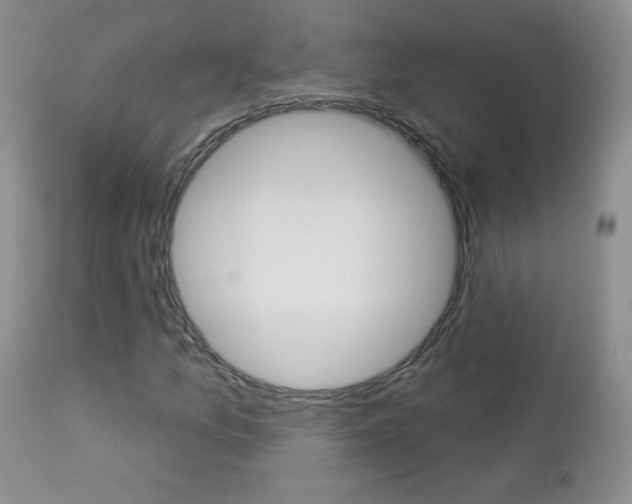 X0000113101157200908280945