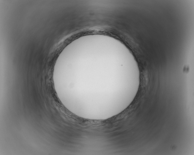 X0000113101158200908280945