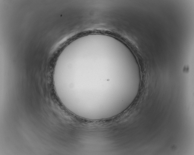 X0000113101159200908280945