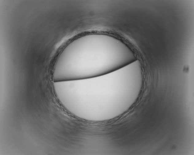 X0000113101160200908280945