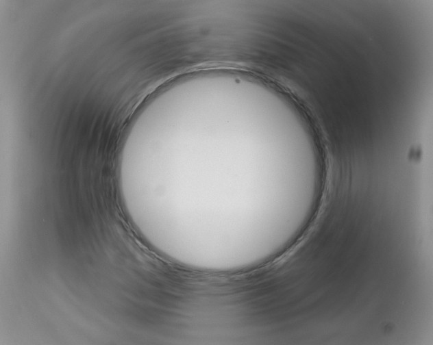 X0000113101161200908280945