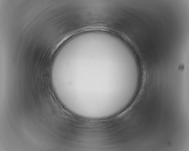 X0000113101162200908280945