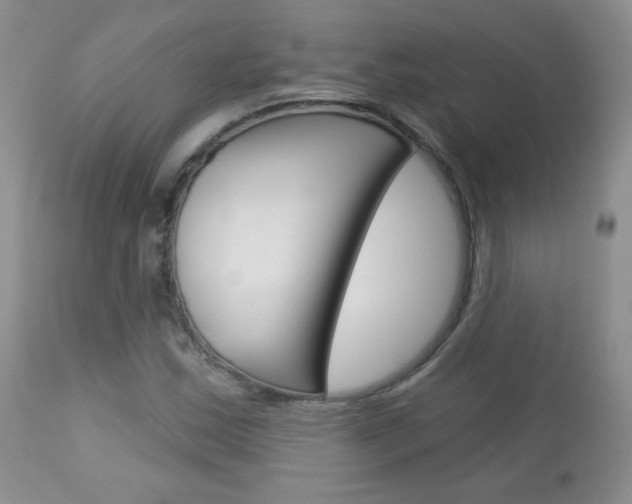 X0000113101163200908280945