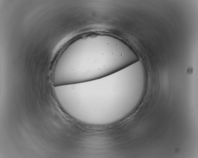 X0000113101164200908280945