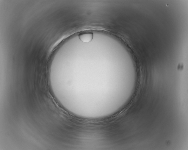 X0000113101165200908280945