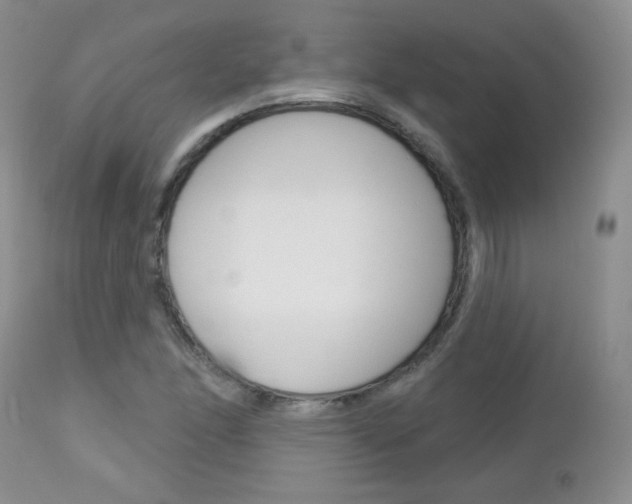 X0000113101166200908280945