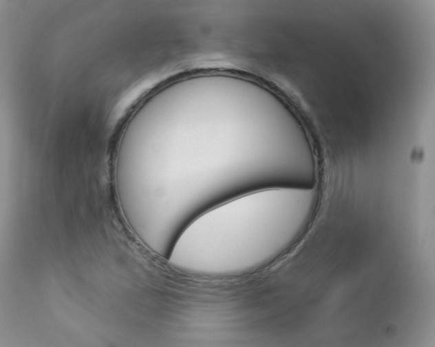X0000113101167200908280945